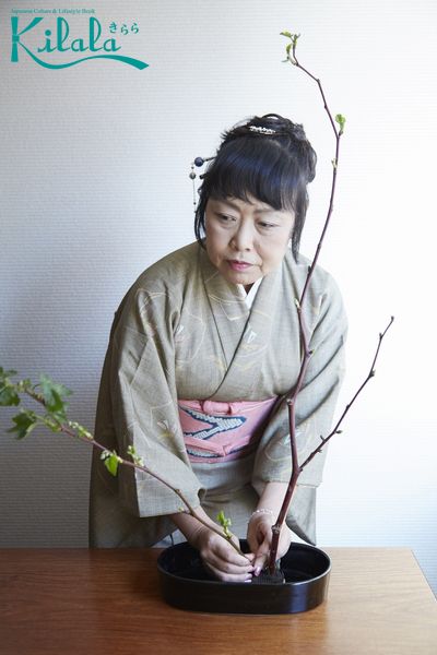 học cắm hoa Ikebana